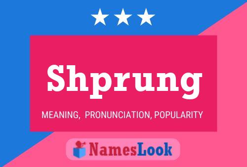 Shprung Name Poster