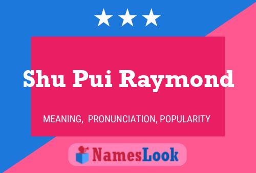 Shu Pui Raymond Name Poster