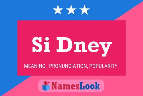 Si Dney Name Poster