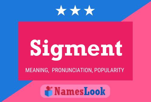 Sigment Name Poster