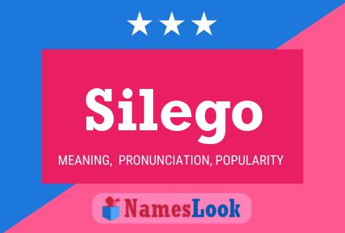 Silego Name Poster