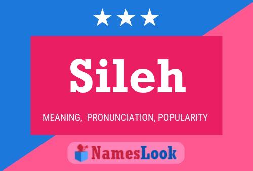 Sileh Name Poster