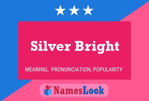 Silver Bright Name Poster