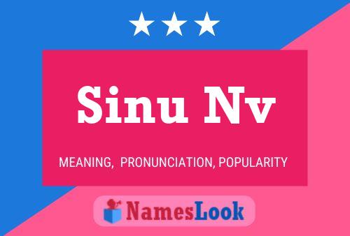 Sinu Nv Name Poster