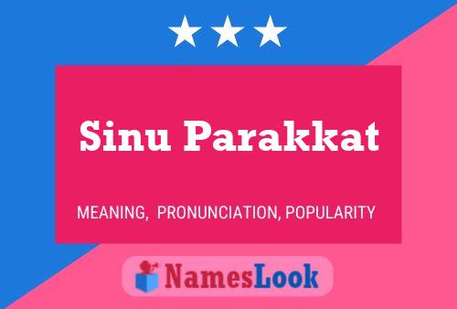 Sinu Parakkat Name Poster