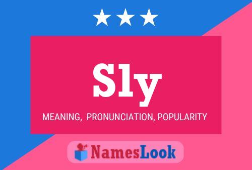 Sly Name Poster