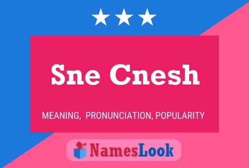 Sne Cnesh Name Poster