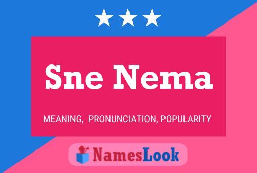 Sne Nema Name Poster