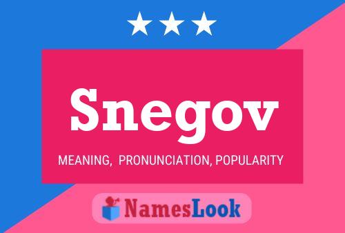 Snegov Name Poster