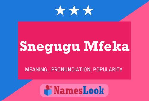 Snegugu Mfeka Name Poster