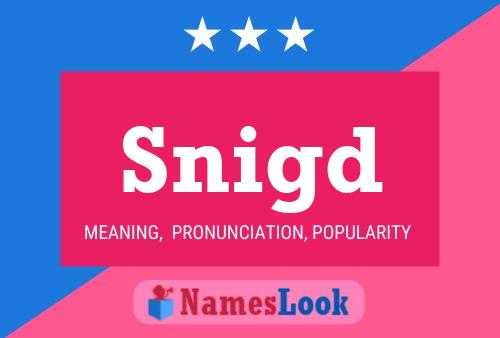 Snigd Name Poster