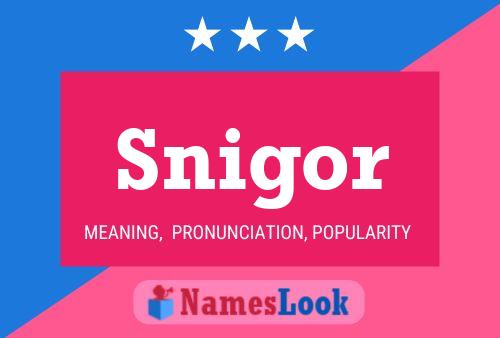 Snigor Name Poster