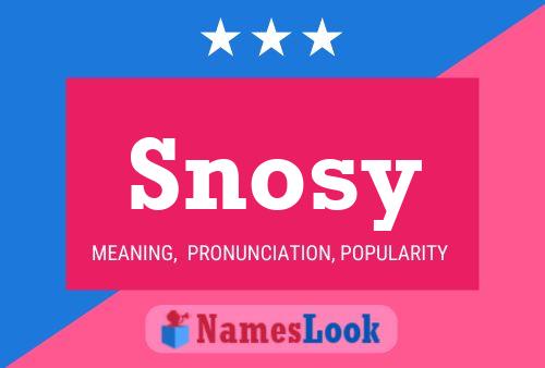 Snosy Name Poster