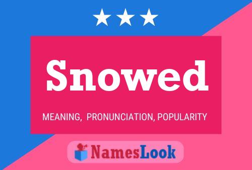 Snowed Name Poster