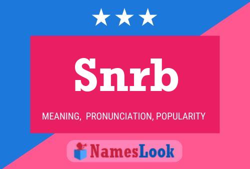 Snrb Name Poster