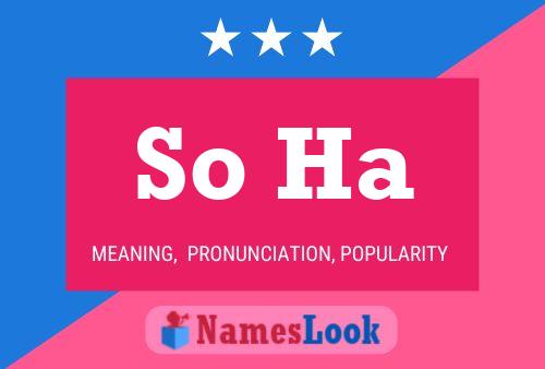 So Ha Name Poster