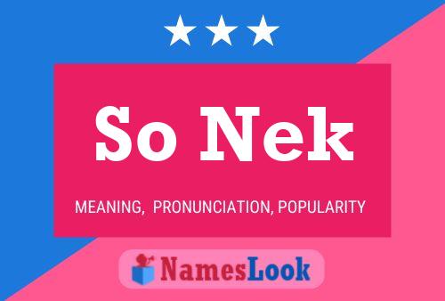 So Nek Name Poster