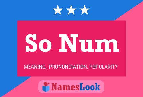 So Num Name Poster