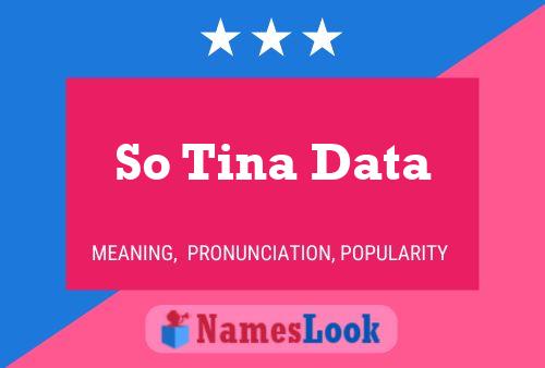 So Tina Data Name Poster