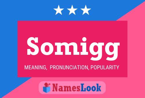 Somigg Name Poster