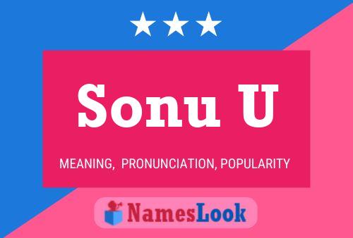 Sonu U Name Poster