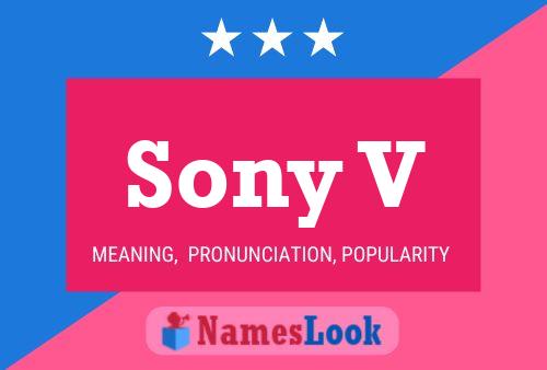 Sony V Name Poster