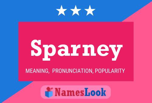 Sparney Name Poster