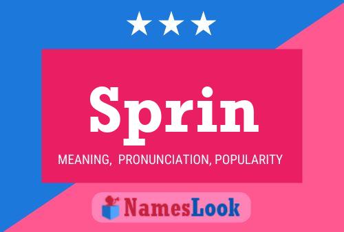 Sprin Name Poster