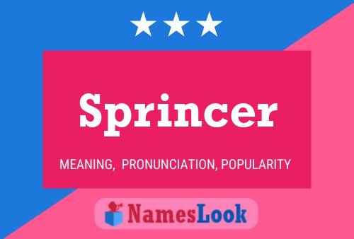 Sprincer Name Poster