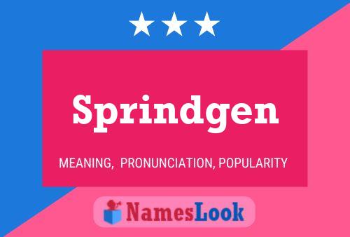 Sprindgen Name Poster