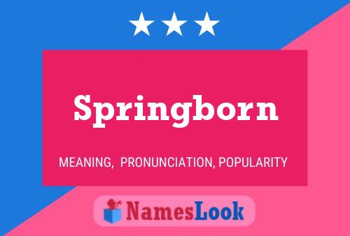 Springborn Name Poster