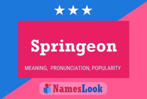 Springeon Name Poster