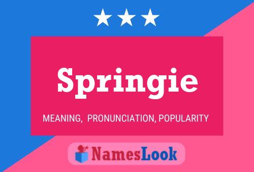 Springie Name Poster