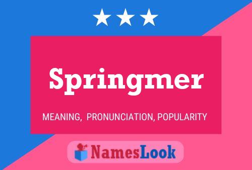 Springmer Name Poster