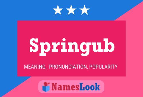 Springub Name Poster