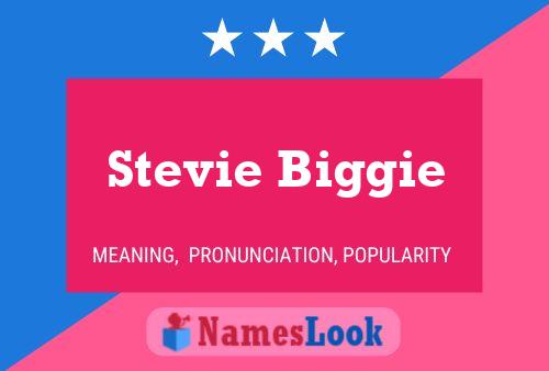 Stevie Biggie Name Poster