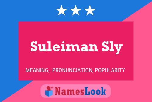 Suleiman Sly Name Poster