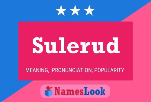 Sulerud Name Poster