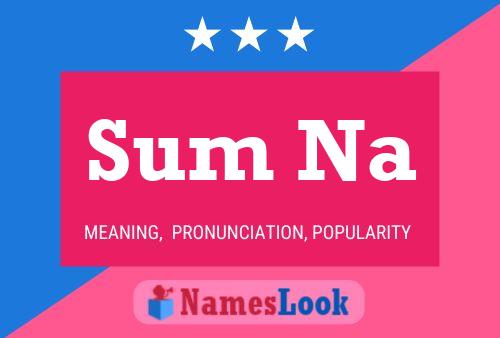 Sum Na Name Poster