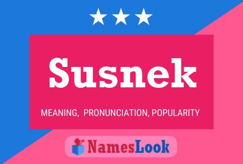 Susnek Name Poster