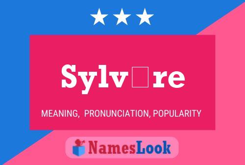 Sylvère Name Poster