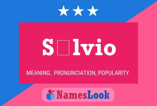 Sílvio Name Poster