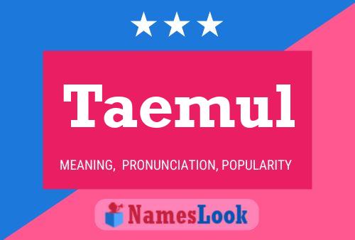 Taemul Name Poster