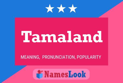 Tamaland Name Poster