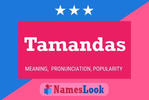 Tamandas Name Poster