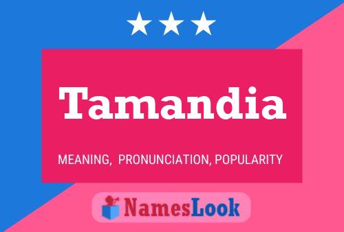 Tamandia Name Poster