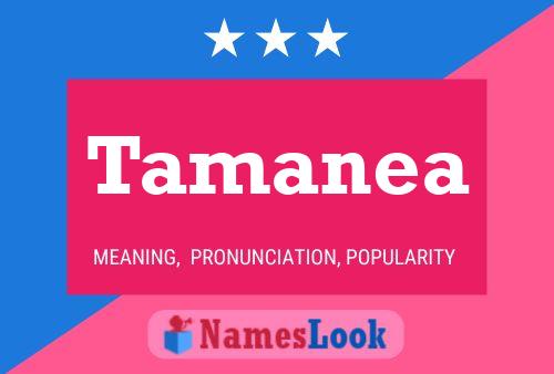 Tamanea Name Poster