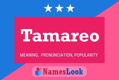 Tamareo Name Poster