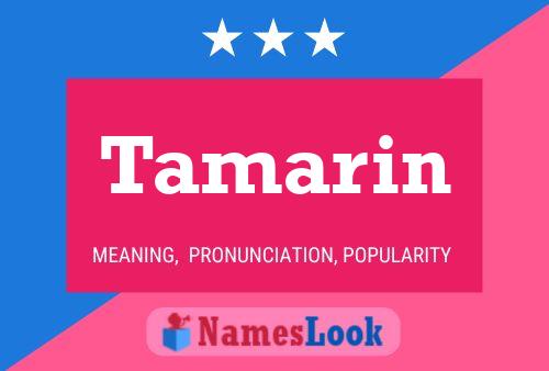 Tamarin Name Poster