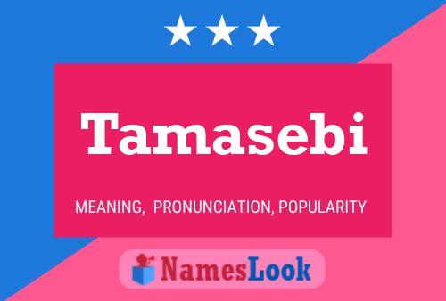 Tamasebi Name Poster